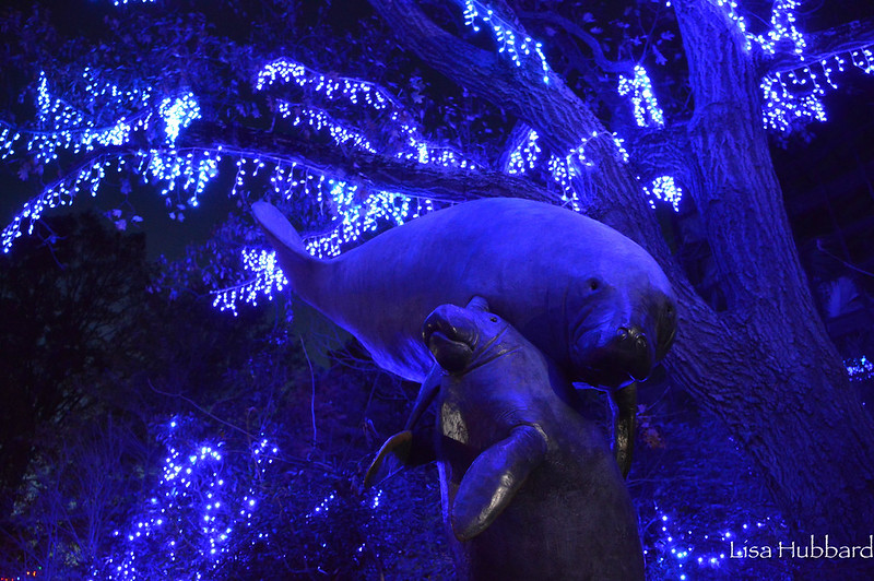 Merry Manatees