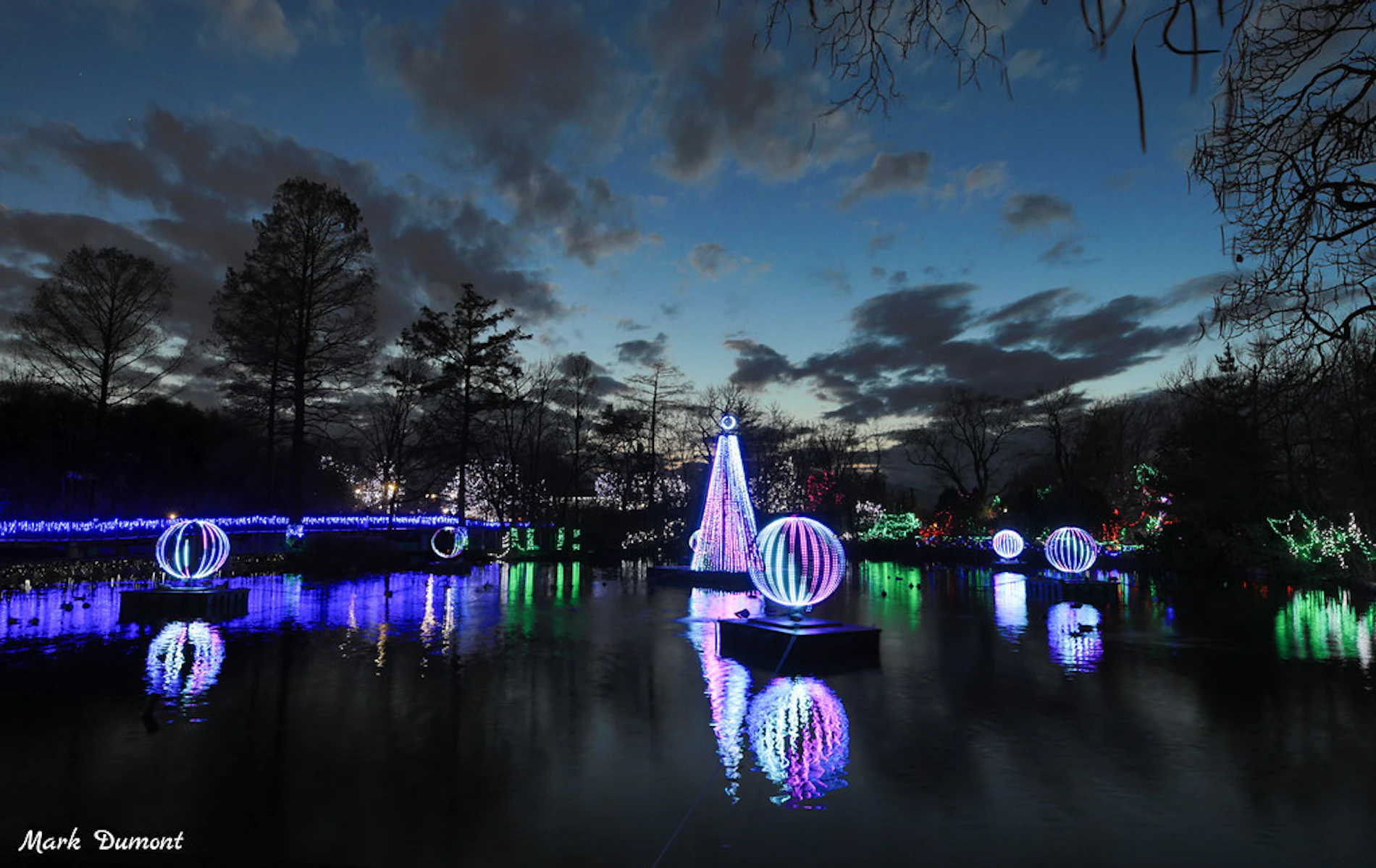 Wild Lights Show