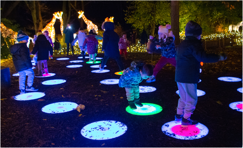 Holiday Lights Must Dos holiday-lights-must-dos