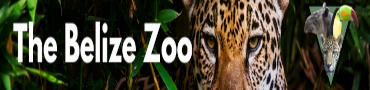 Belize Zoo Ad