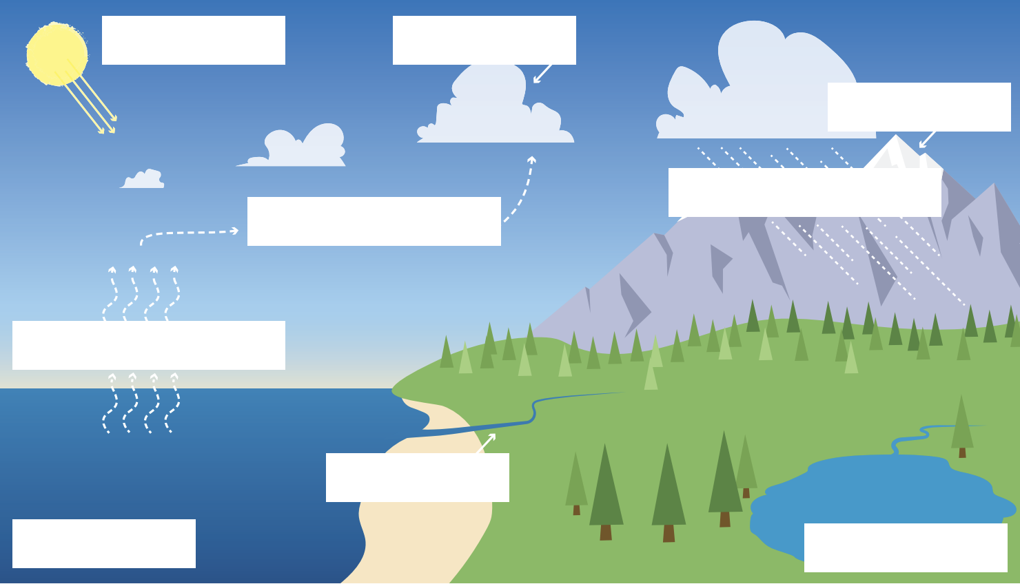Water Cycle