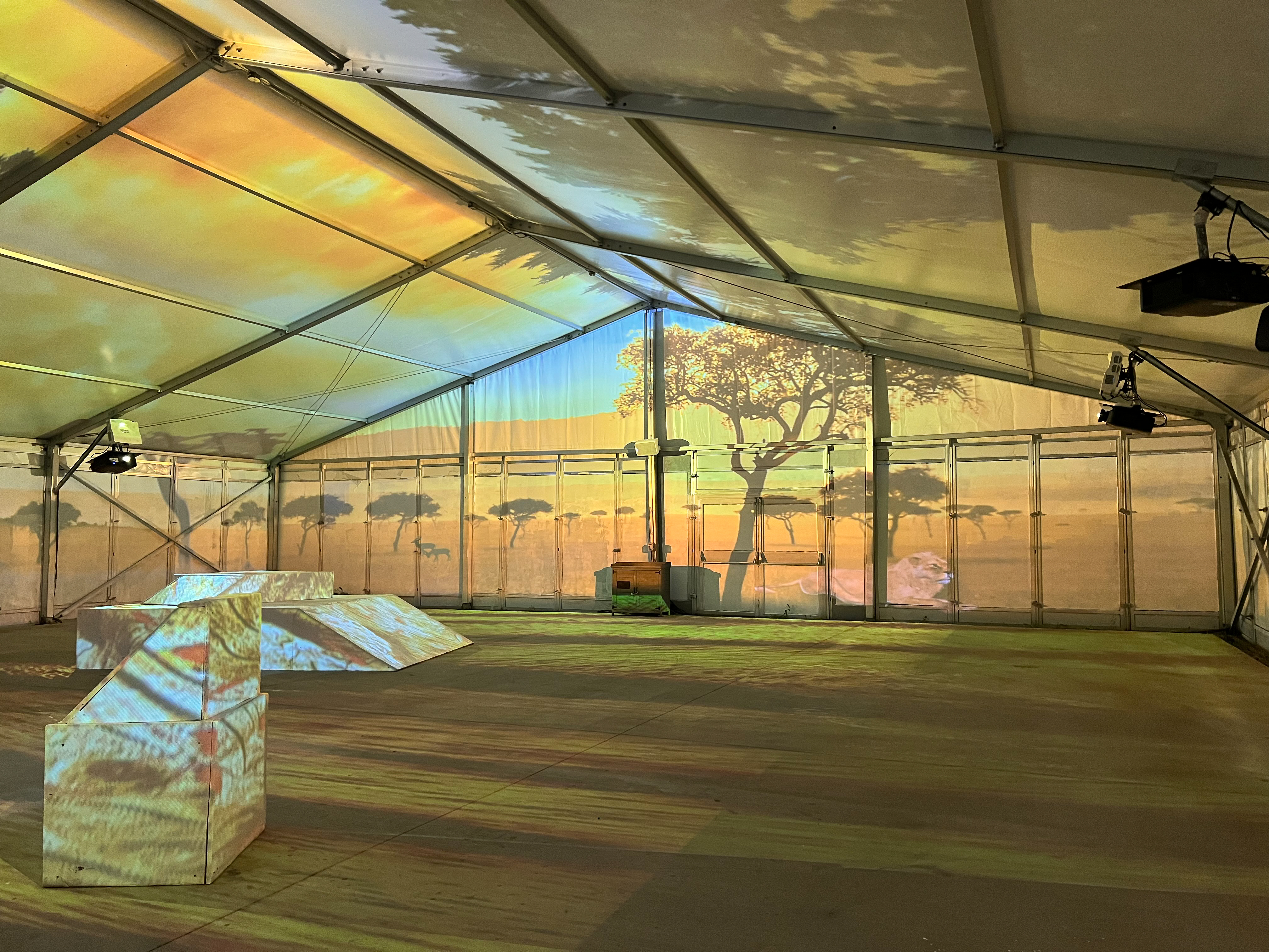 DZL - Visions of the Wild