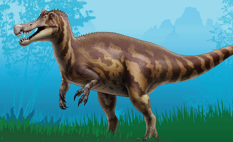 Irritator