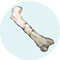 Bones