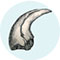 Claws