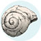 Shells