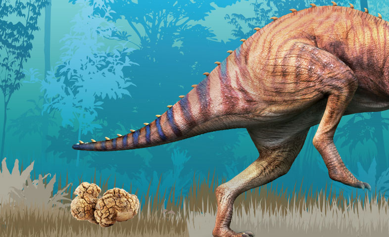 Prehistoric Poop