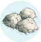 Nests or Burrows