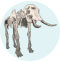 Mammoth
