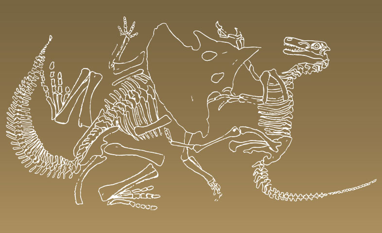 Protoceratops