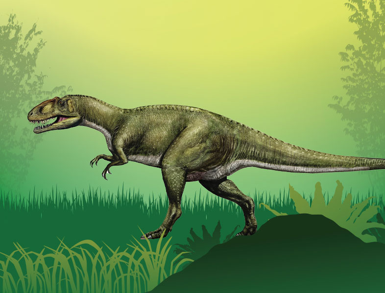 Sinraptor