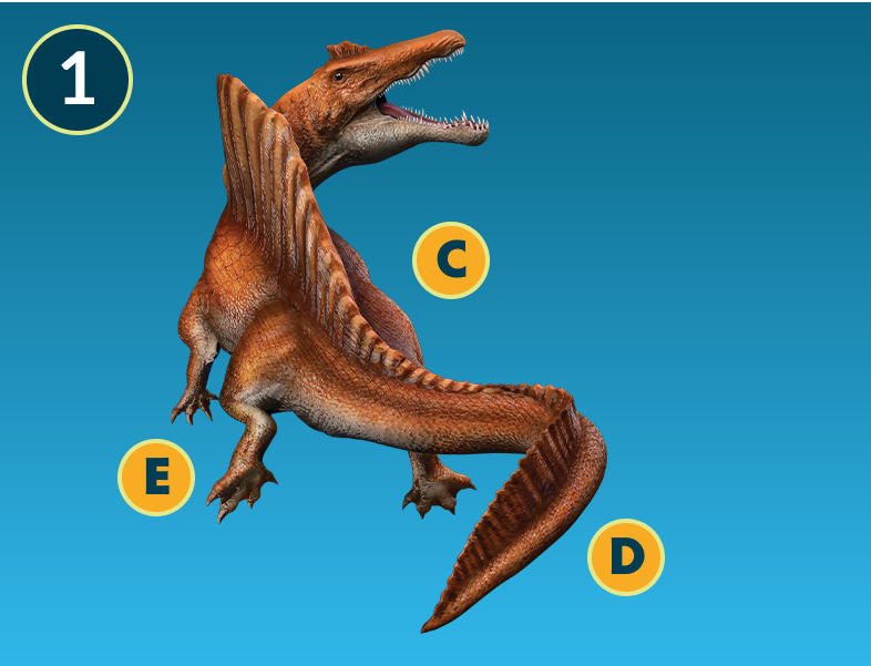 Spinosaurus