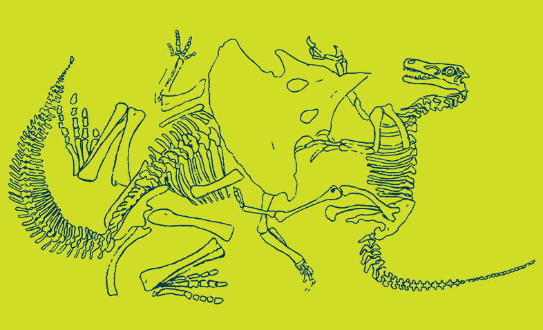 Protoceratops Fight