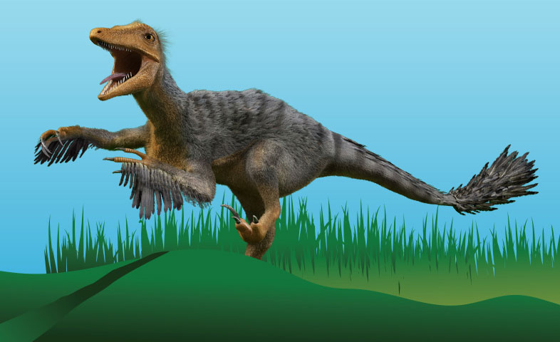 Velociraptor
