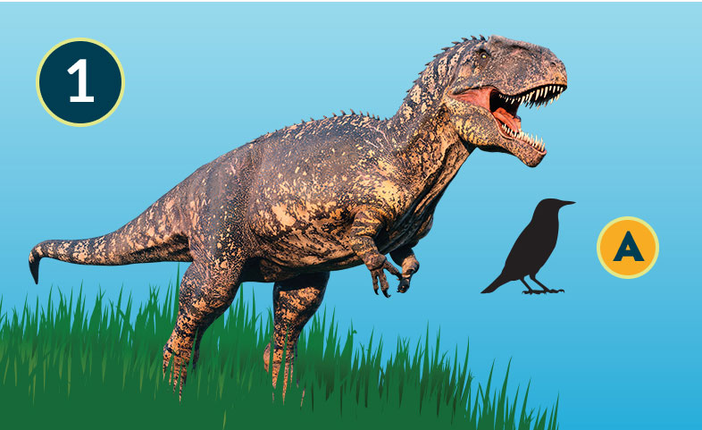 Giganotosaurus 