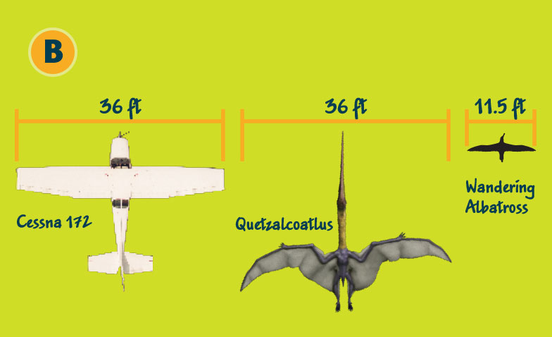 Quetzalcoatlus