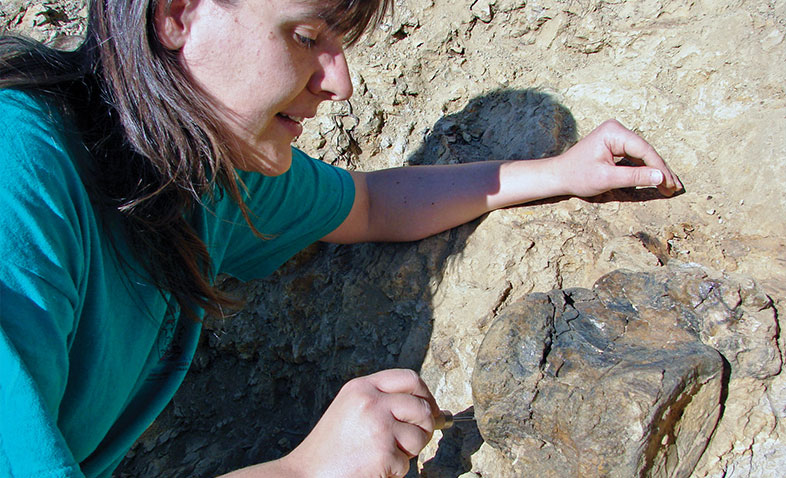 Dino Discoveries
