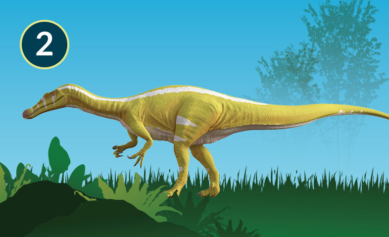 Protathlitis