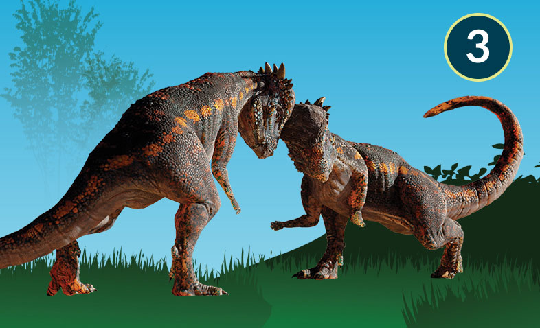 Sphaerotholus