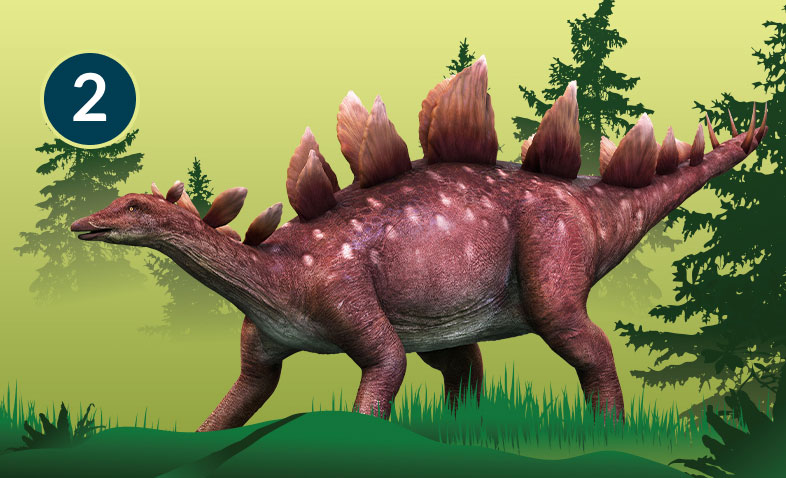 Stegosaurus