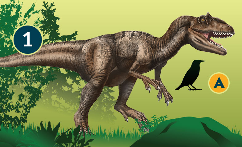 Allosaurus