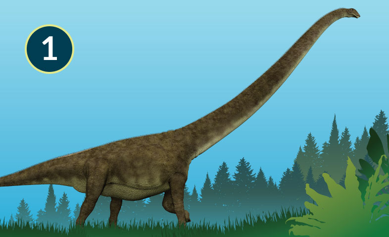 Mamenchisaurus