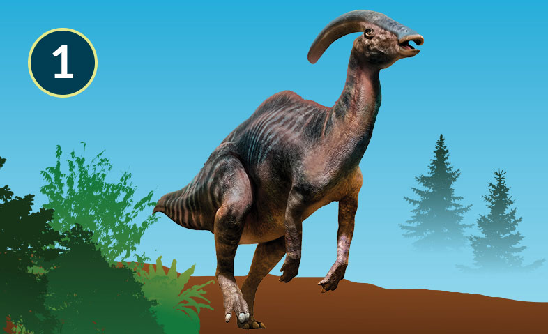 Parasaurolophus