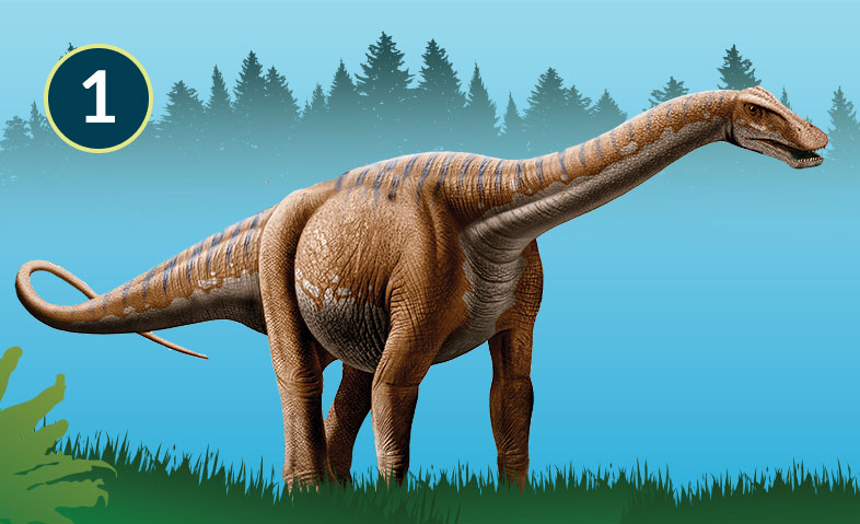 Rapetosaurus