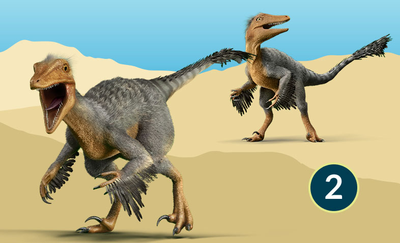 Velociraptor