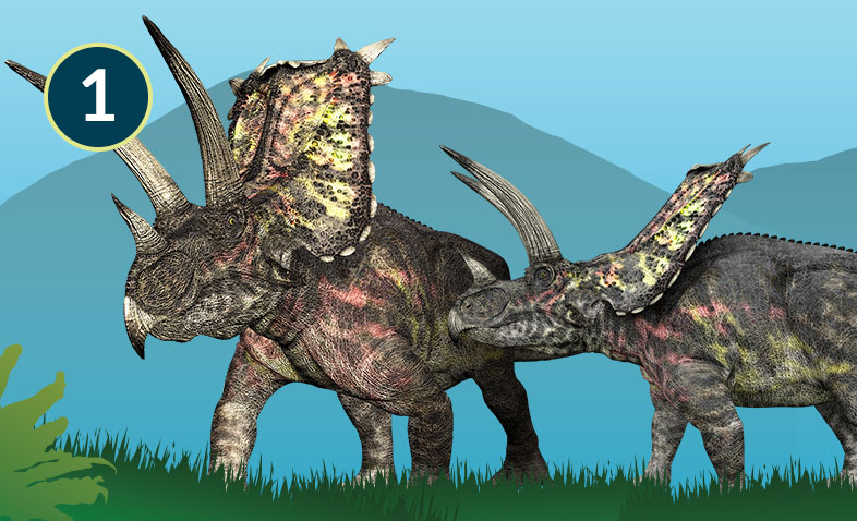 Pentaceratops