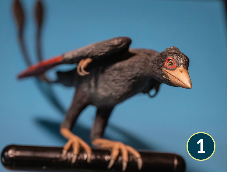 Confuciusornis