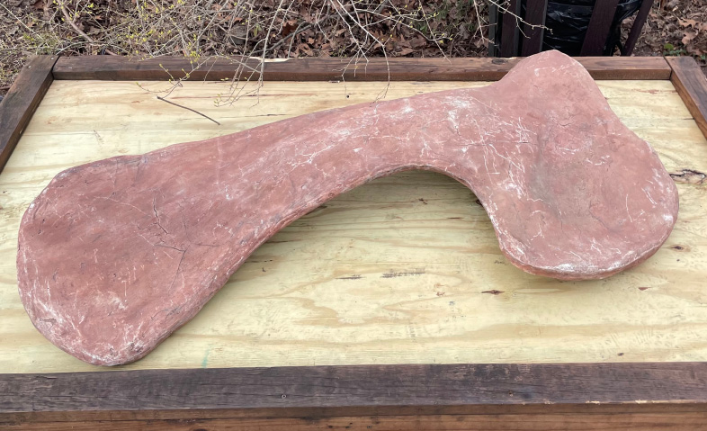 Omeisaurus Scapula