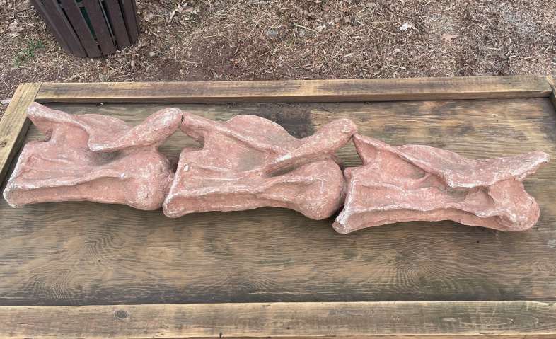 Omeisaurus Cervical
