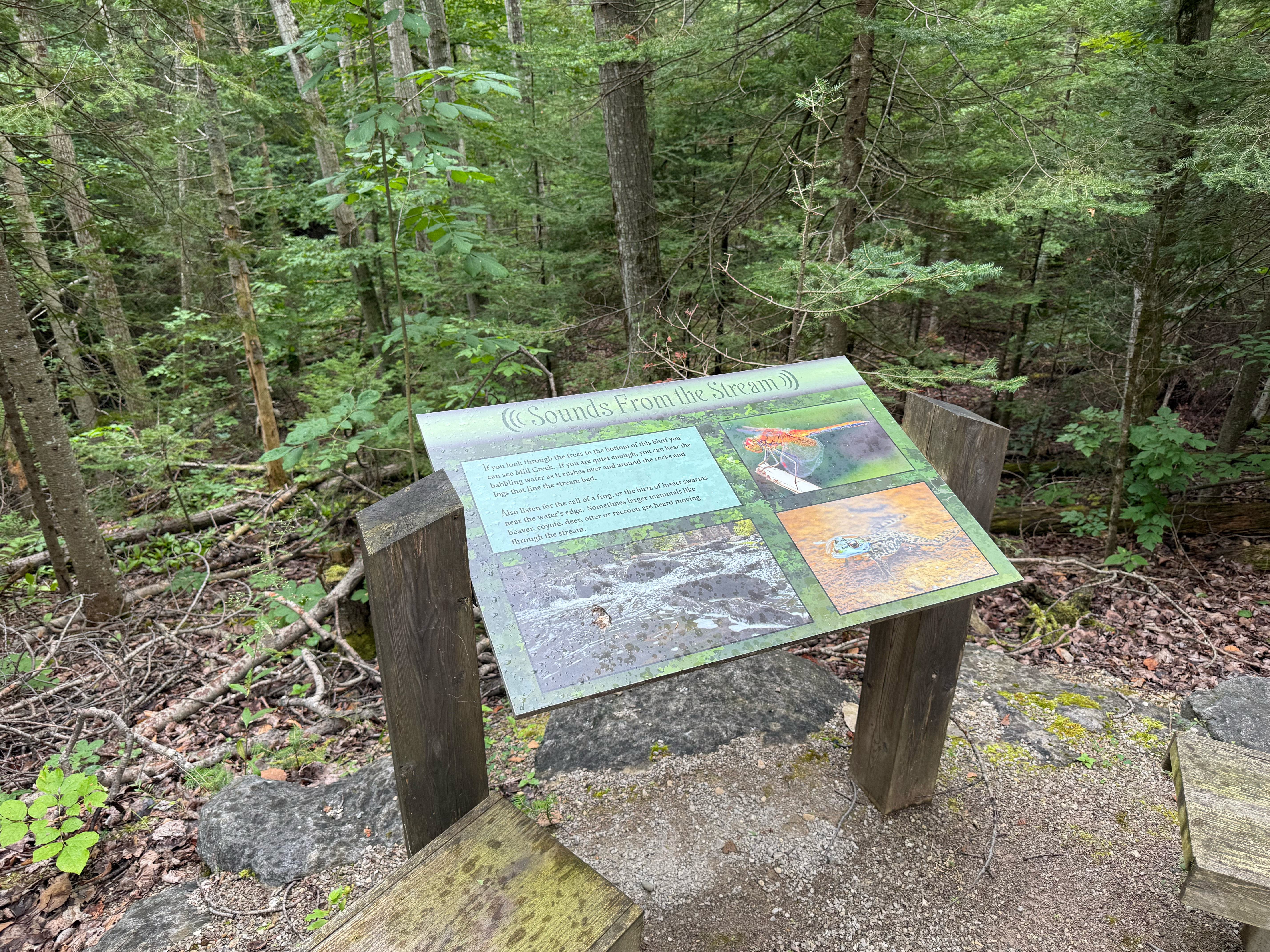 Sounds of the Forest 2