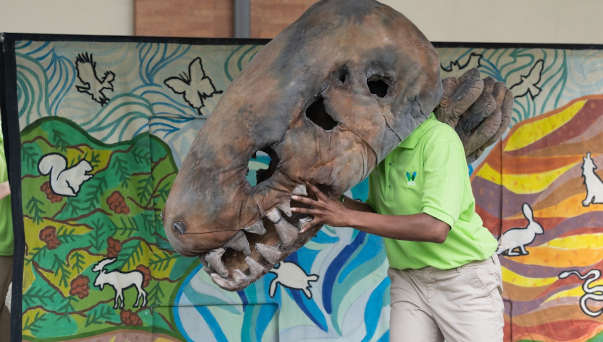 Photo of Wildlife Theater: Bird or Dinosaurio?