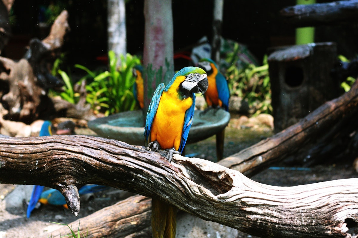 Photo of Zoo Closes
