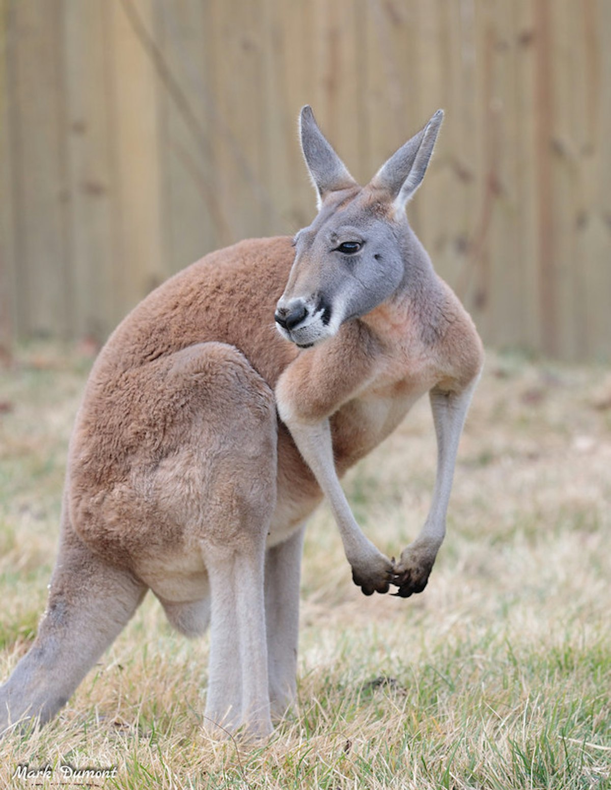Photo of Roo Valley