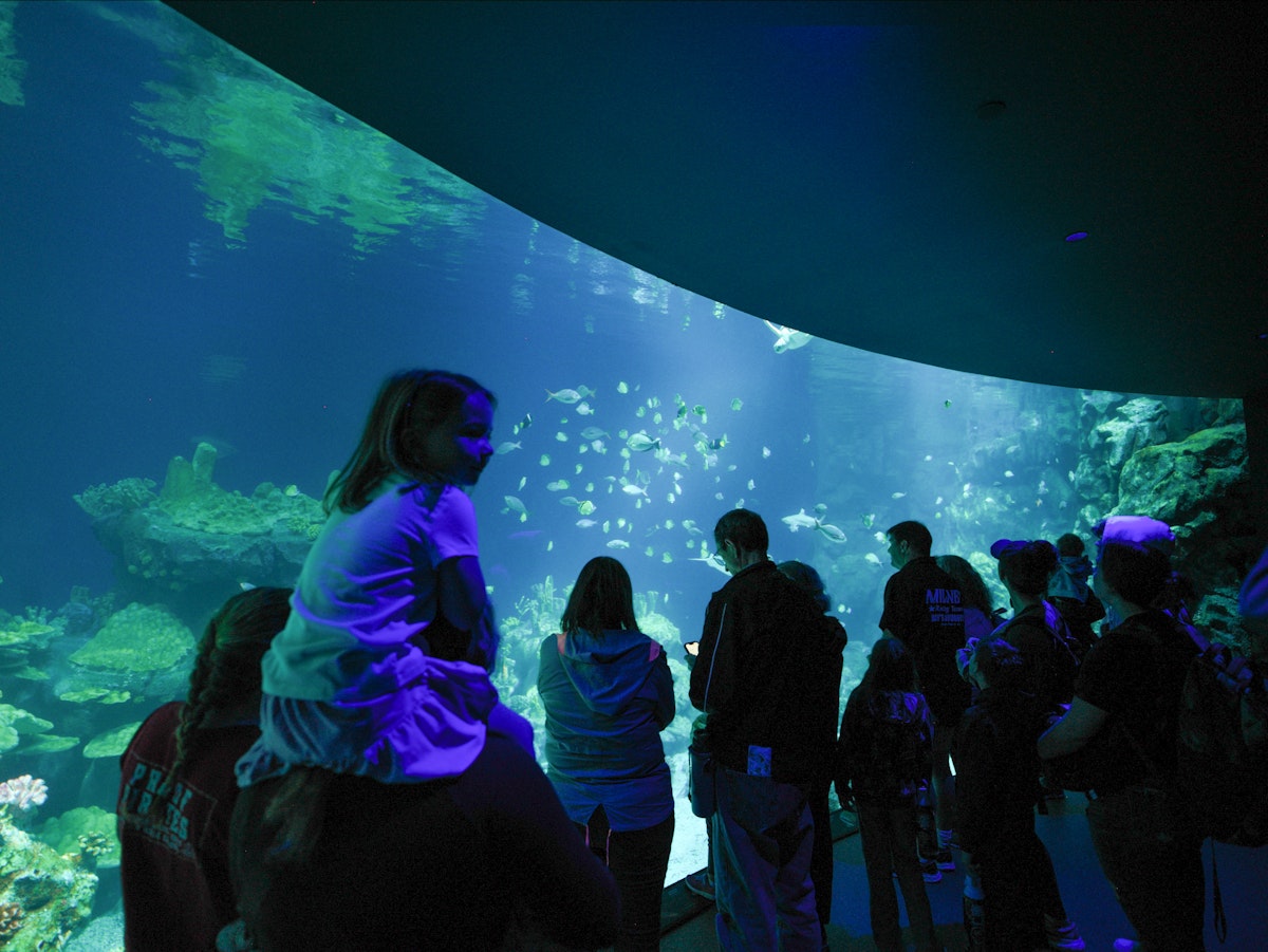 Photo of One Ocean Aquarium
