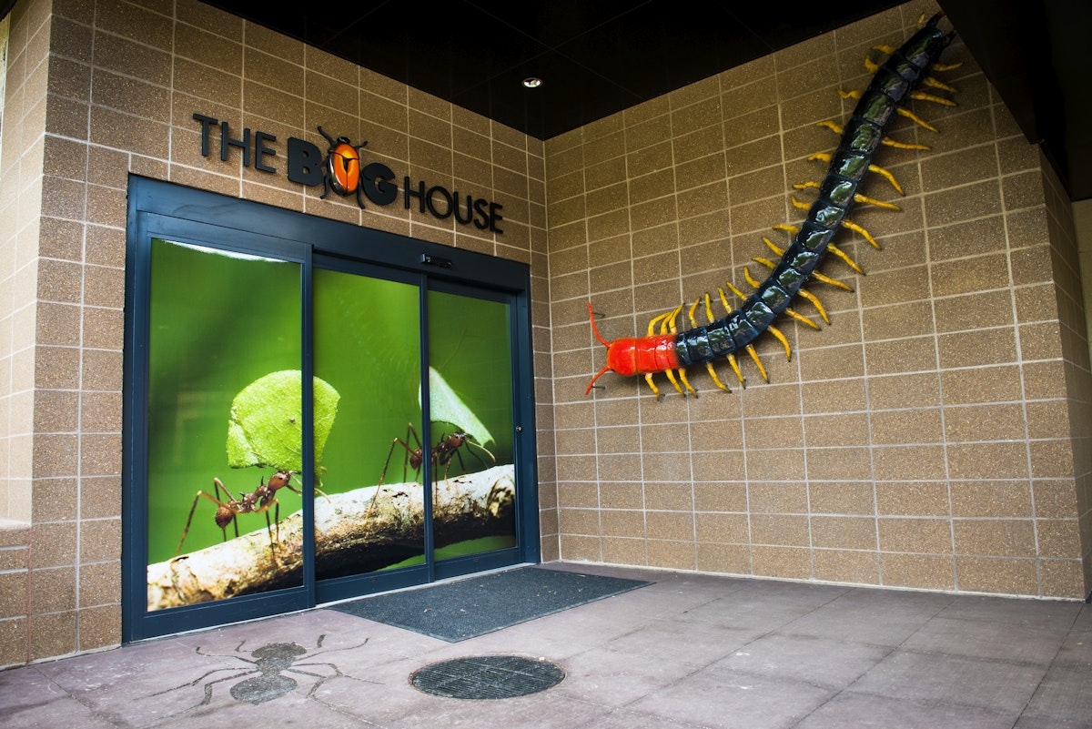 Photo of Bug House