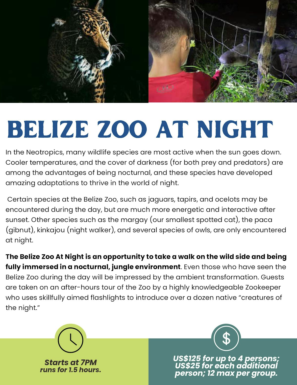 Photo of Belize Zoo at Night