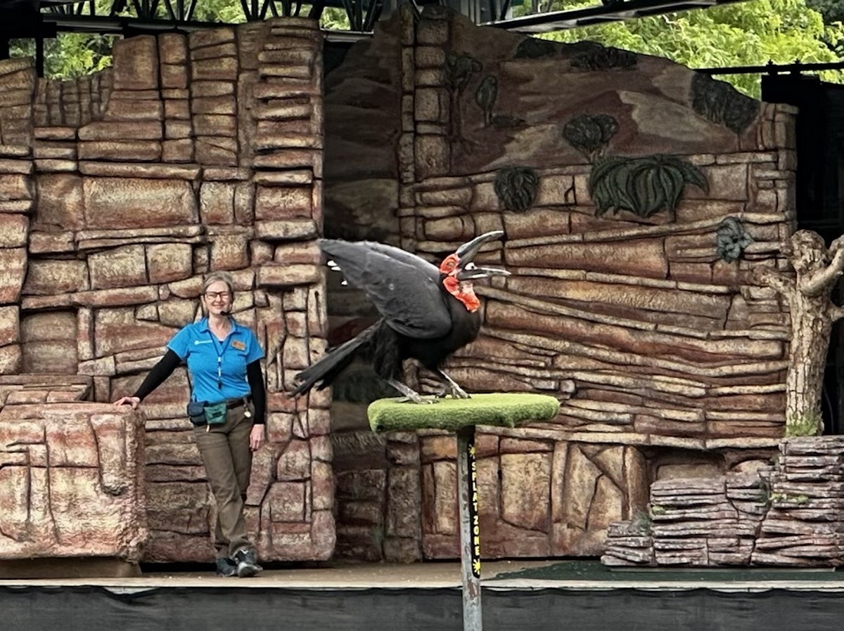 Photo of Wildlife Live at amphitheater