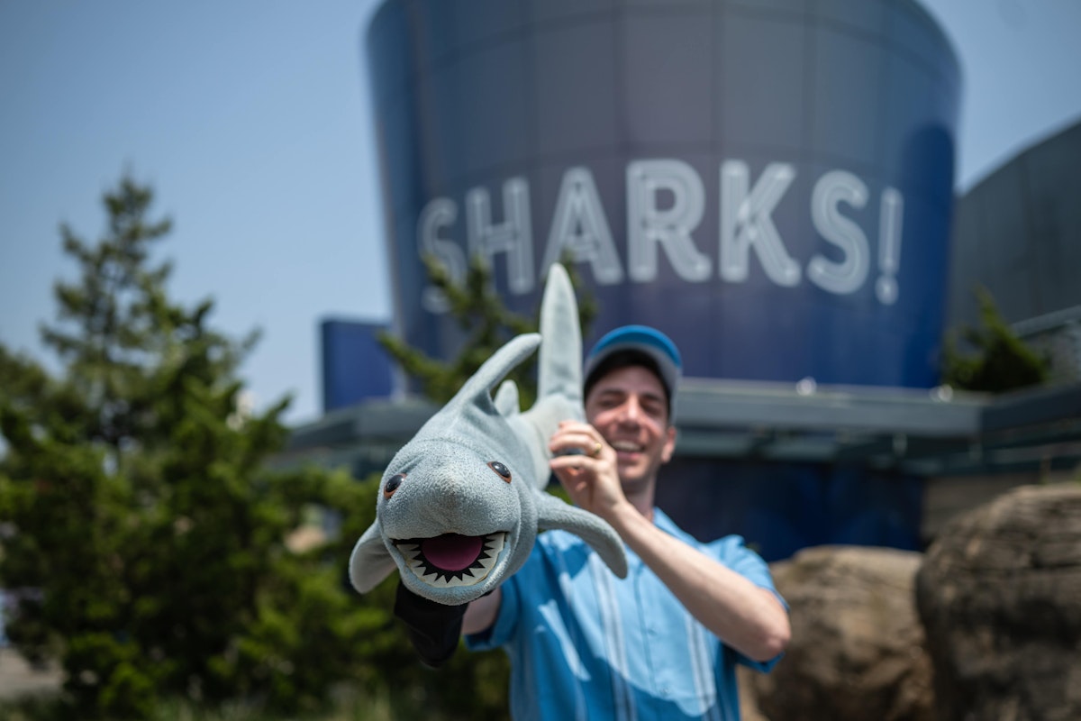 Photo of Wildlife Theater: The Zany Adventures of SuperShark