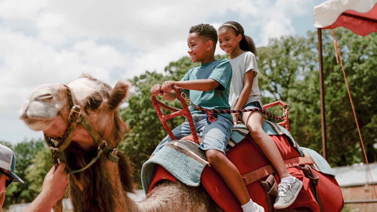 Photo of Camel Rides