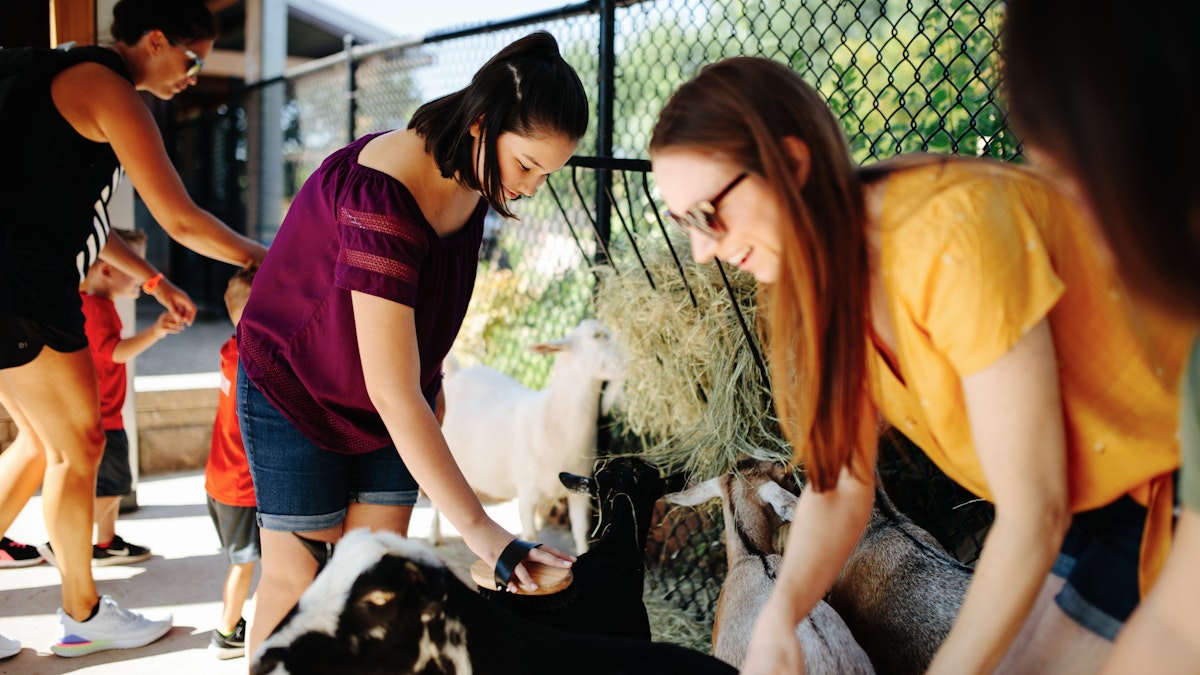 Photo of Primrose Schools Barnyard
