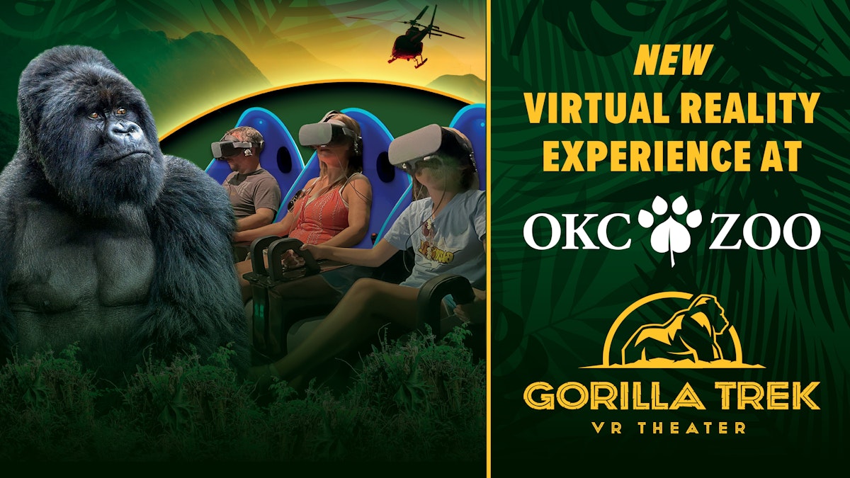 Photo of Gorilla Trek VR