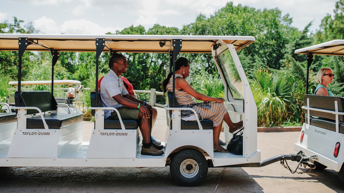 Photo of Elephant Express Tram