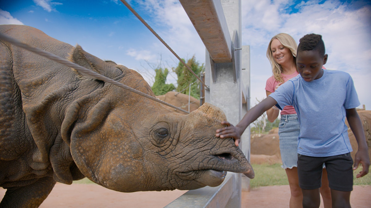 Photo of Wild Encounters: Indian Rhinos