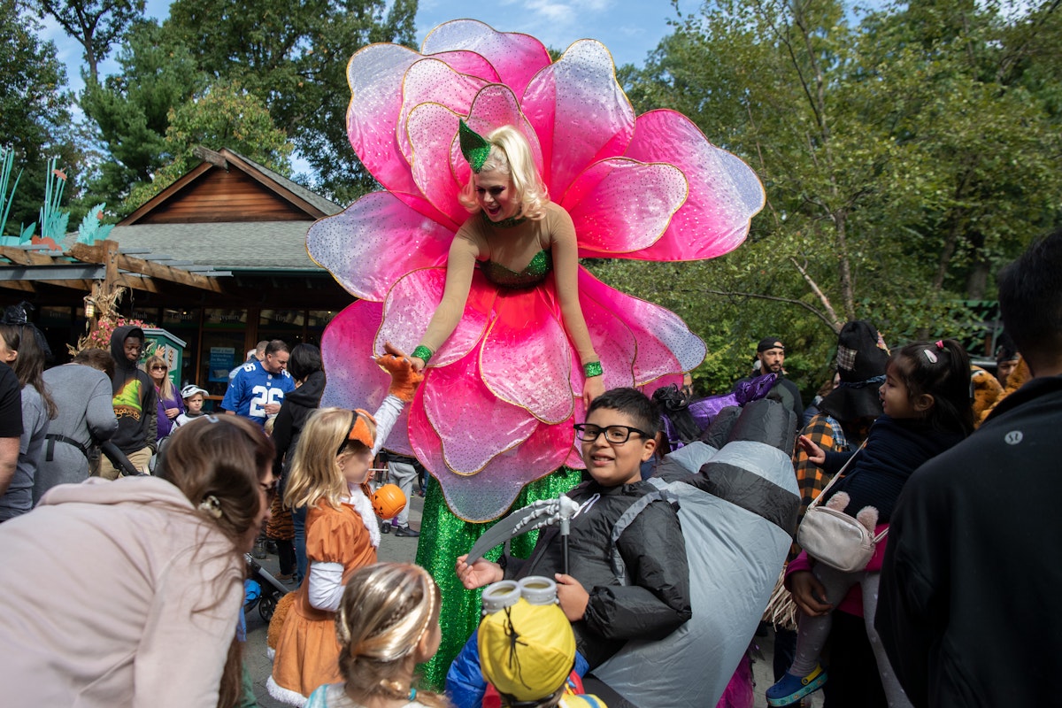 Photo of Costume Parade