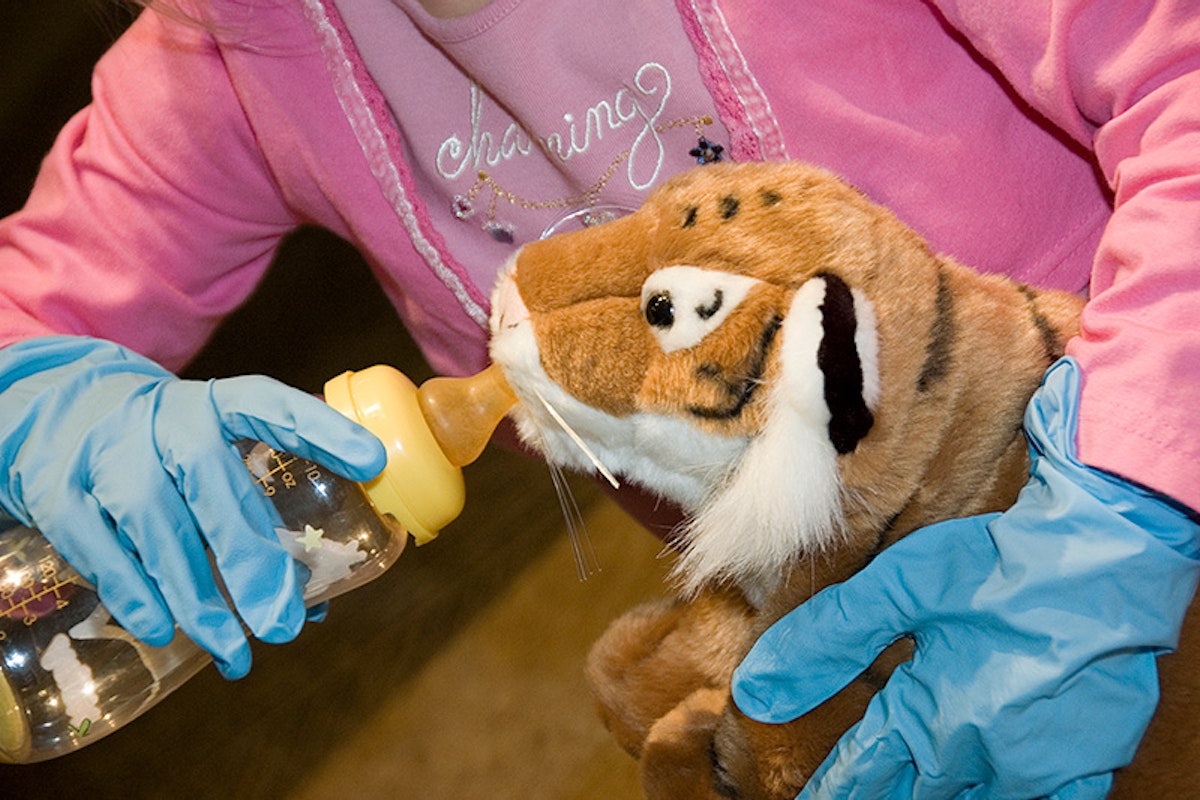 Photo of Zoo Vets
