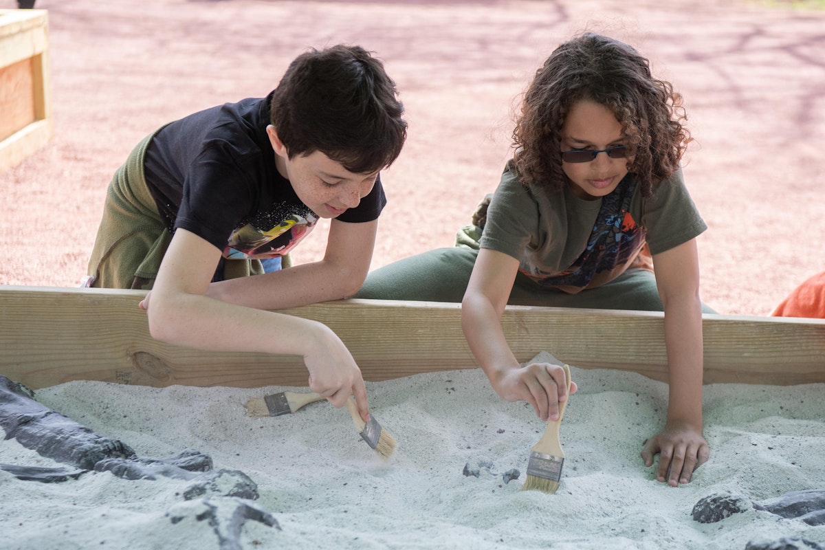 Photo of Shark Fossil Dig